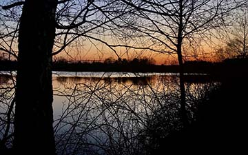 The Rybnik Lagoon