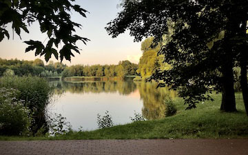 Silesian Park