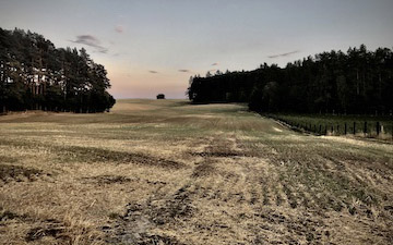 Road through forest in northwestern Poland