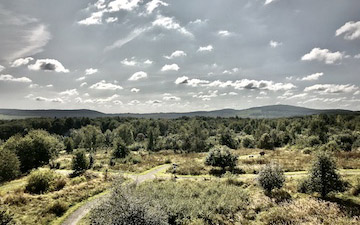 View from a lone tower