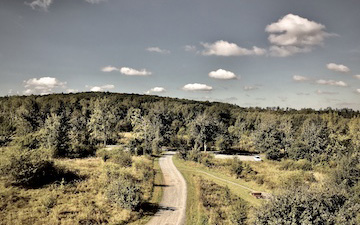 View from a lone tower