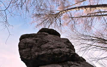 Jurassic Forest's Boulder