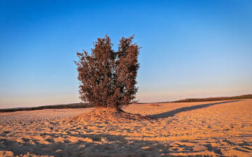 Artificial desert