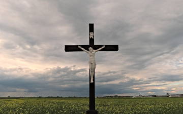 The Cross