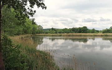 Fenced Lakes