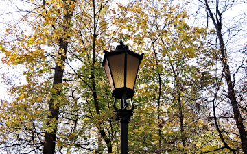 Park Lantern