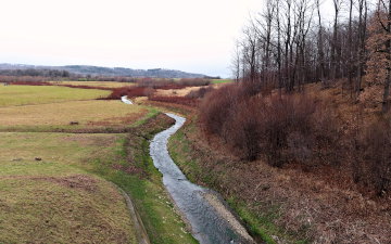 Floodplain