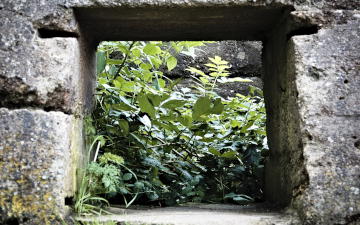 Remains of a Radar Station