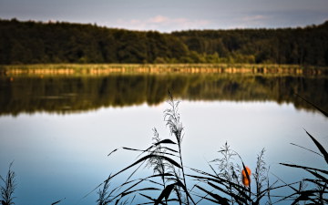 Happy Lake